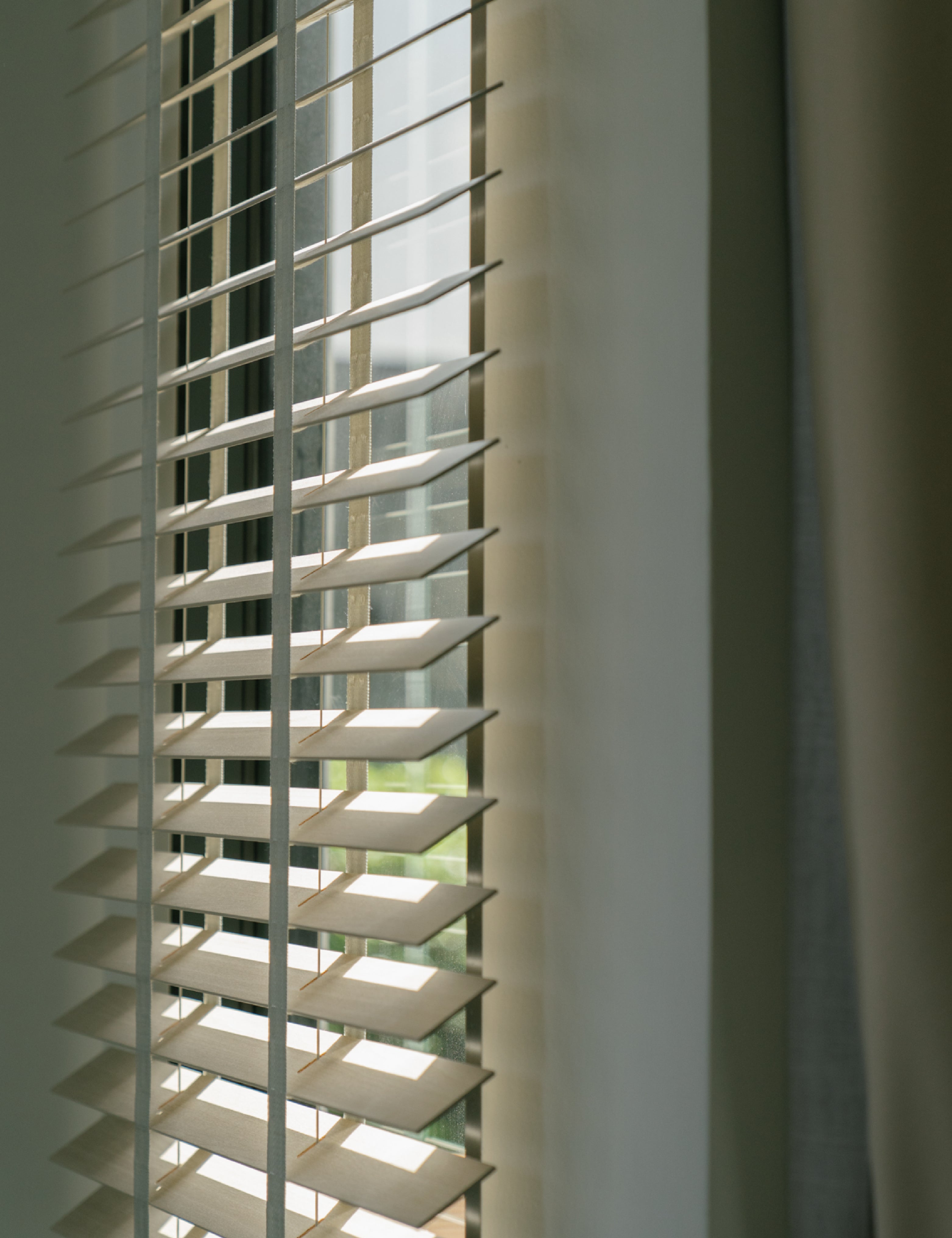 Basswood Blinds - 50S/01