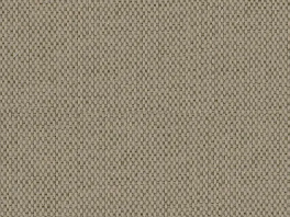 TATAMI