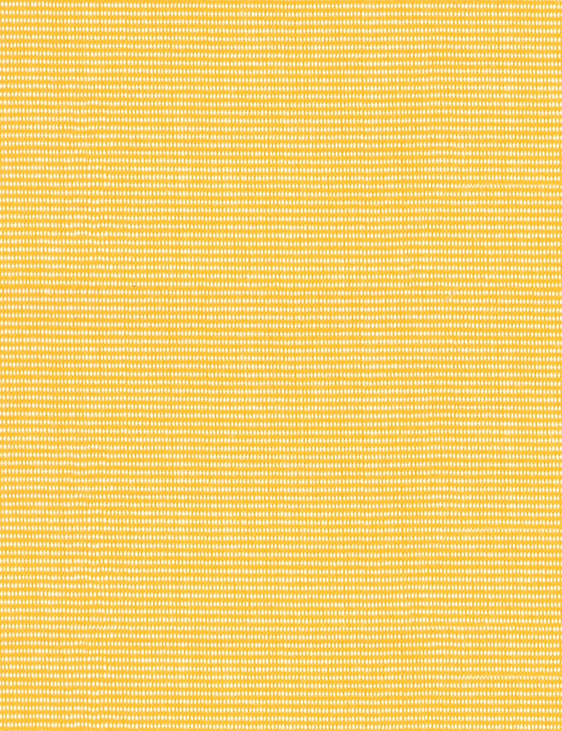 SUN ACRYLIC 1