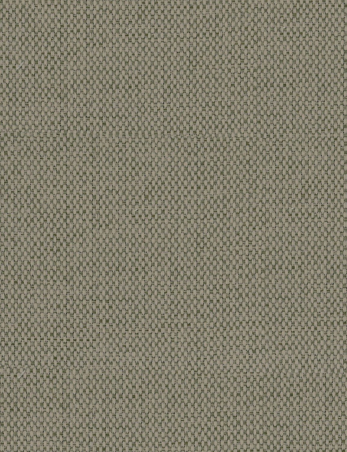 TATAMI