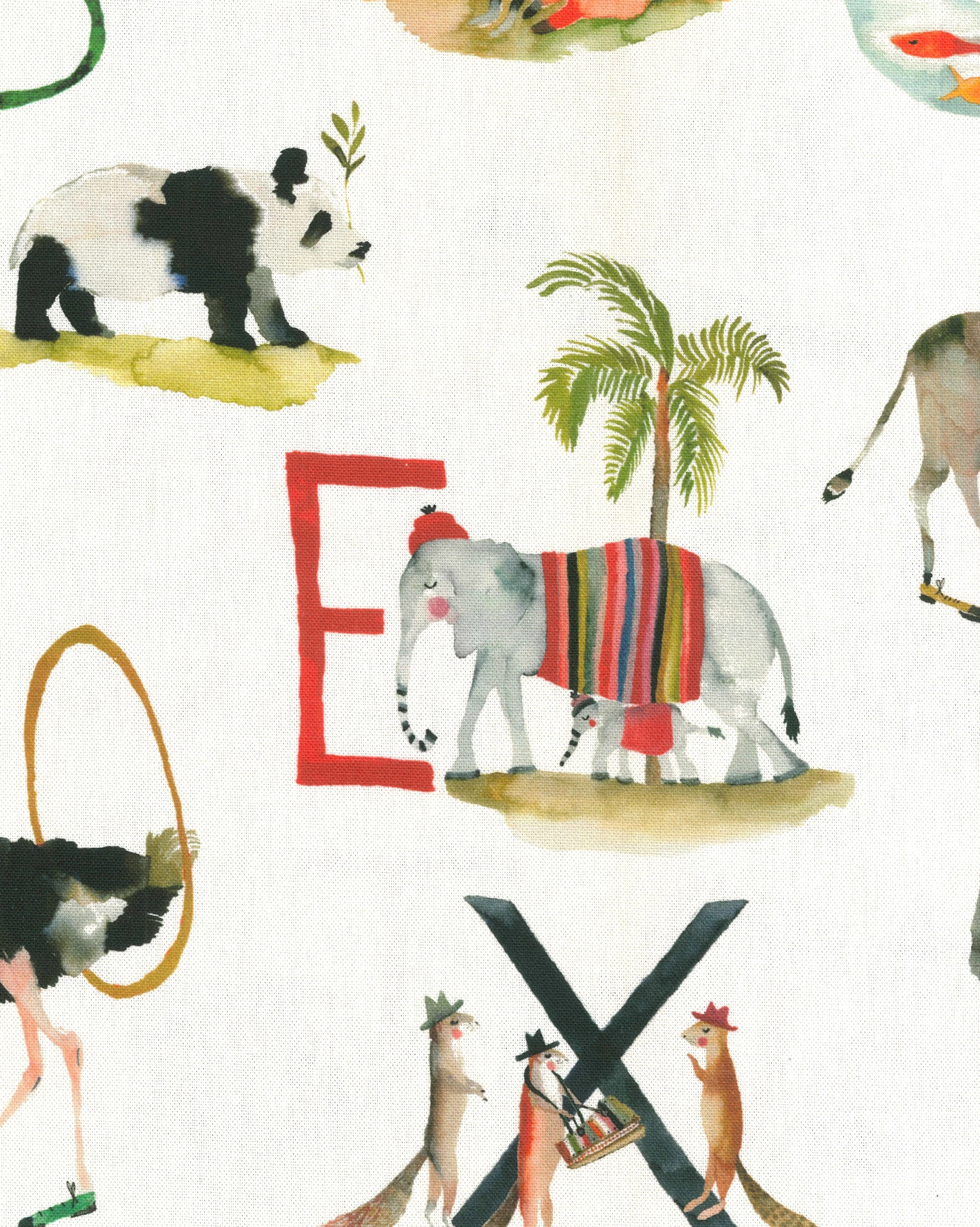 ABOUT A ZOO2