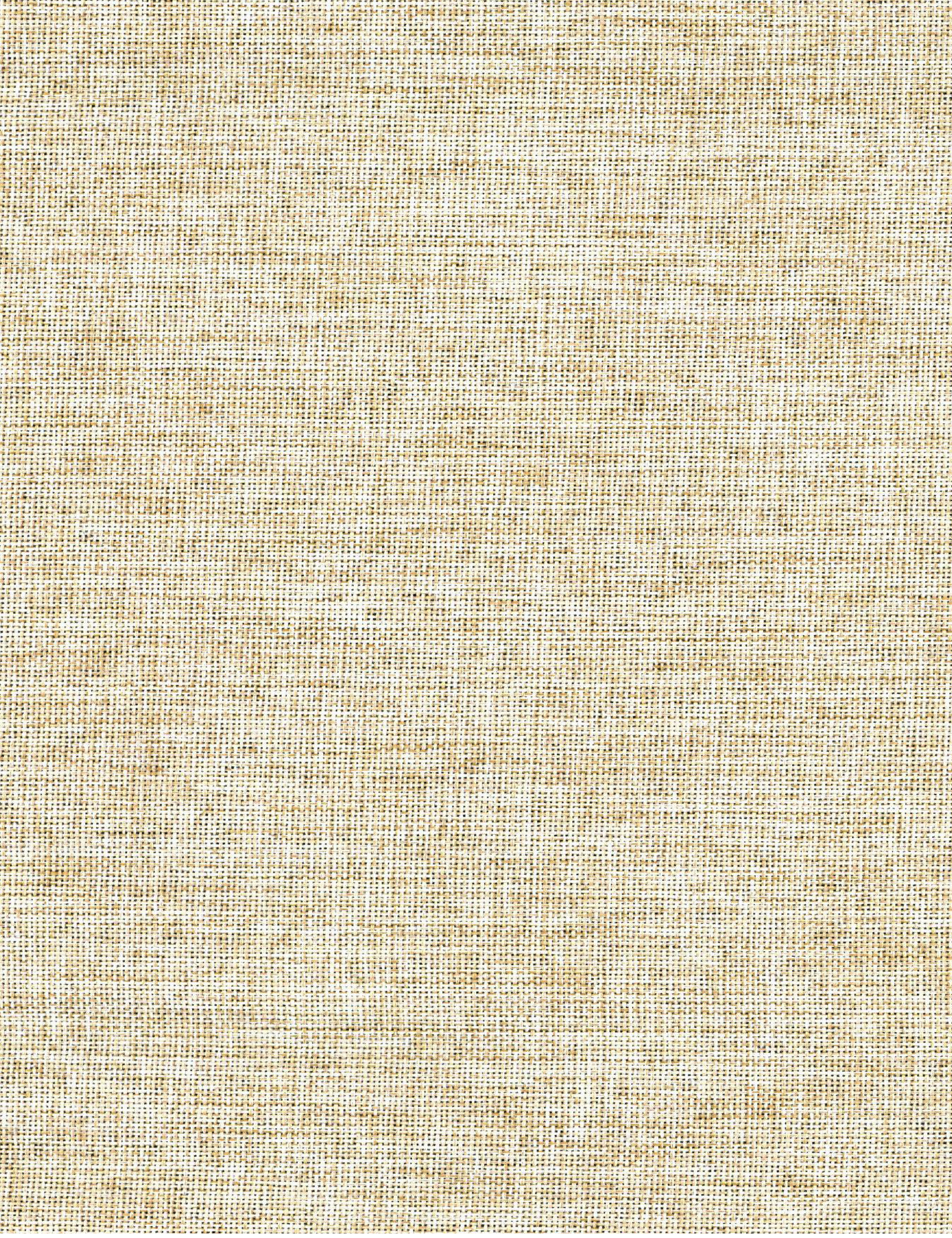 SHADE 8